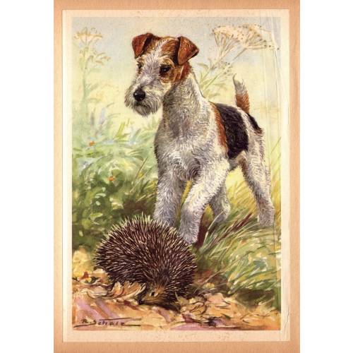 Vintage Fox Terrier and Hedgehog Print Wall Art Decor Scholz Fox Terrier Art Illustration Home Decor Gift Print 10116v
