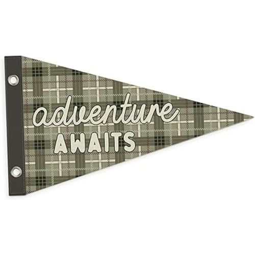 Sage Green Boys Room Wall Decor Pennant Banners Flags