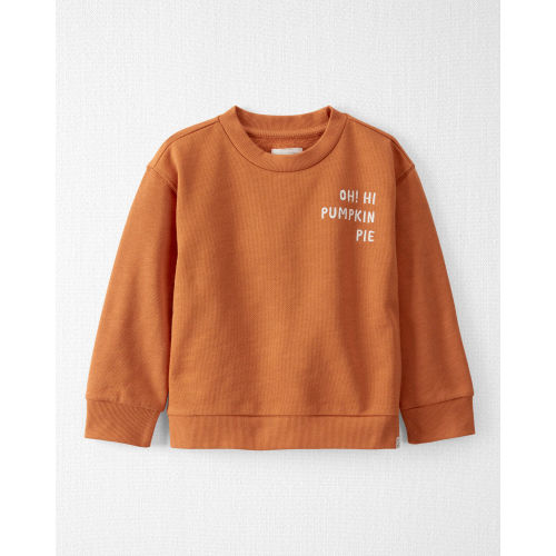 Toddler Organic Cotton Pumpkin Pie Sweatshirt - Little Planet | Carter's