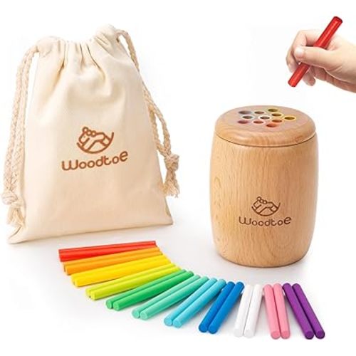 Montessori Color Sorting Toy, 11 Colors Montessori Sticks, Preschool Learning Activities for 1 2 3 Year Old, Sensory Toys for Toddler, Fine Motor Skills 1st Birthday Gifts for Boys and Girls