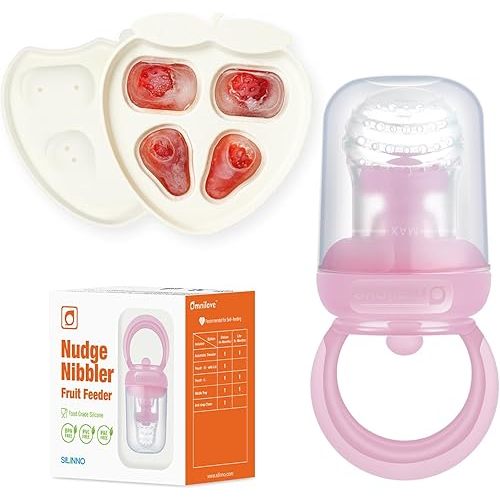 Baby Fruit Feeder & Popsicle Molds Tray Combo, New Born Must Haves and Babies Led Weaning Supplies for Safe Infant Self Feeding, 6+ Month (Pink)