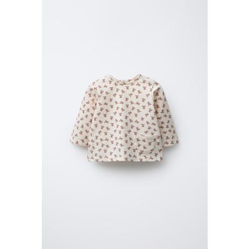 BEARS T-SHIRT - Ecru | ZARA United States