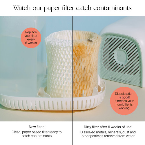 Humidifier Replacement Filters - White