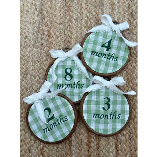 Green Gingham First Year Milestone Hoops | Embroidered Baby Milestone | Photo Props | Baby Girl Gift
