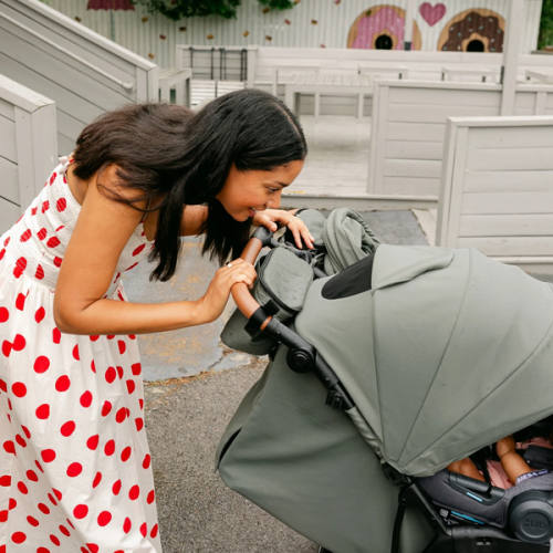The Double Stroller Organizer - Fern