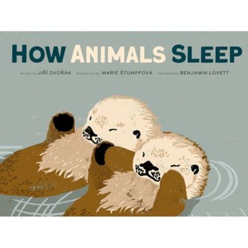 How Animals Sleep - by Jiri Dvorak (Hardcover)