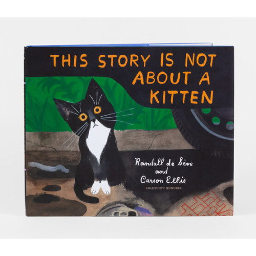 This Story Is Not About a Kitten