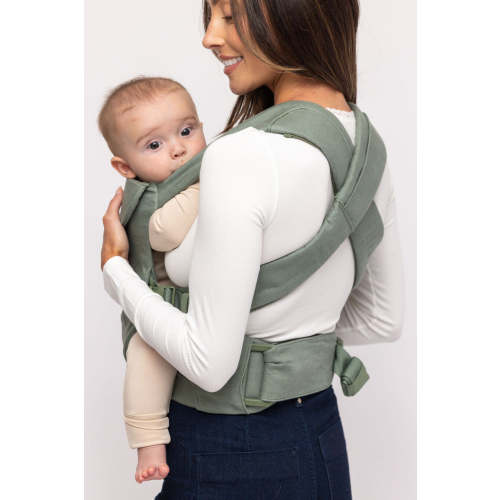 Acadian - Aerial Carrier – WildBird