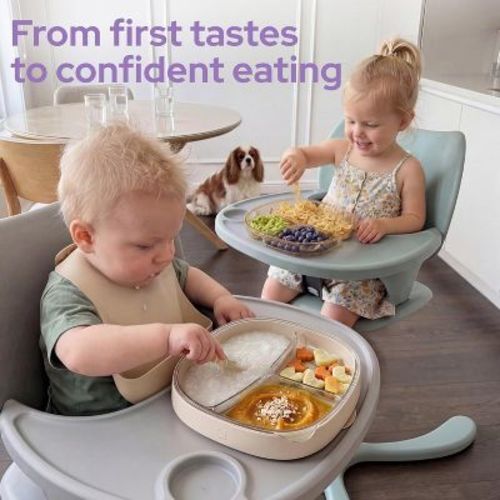 lalalark 2PCS Baby Divided Dishes Plates with Suction Base for 0-3 Years Old Toddler BPA Free Non-Toxic PPSU Food Grade Silicone Microwave Oat Milk