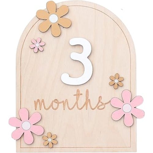 Baby Monthly Milestone Sign,1-12 Monthly Milestone Signs, Baby Girl Nursery Decoration, Newborn Photography Props Double-Sided (M01)