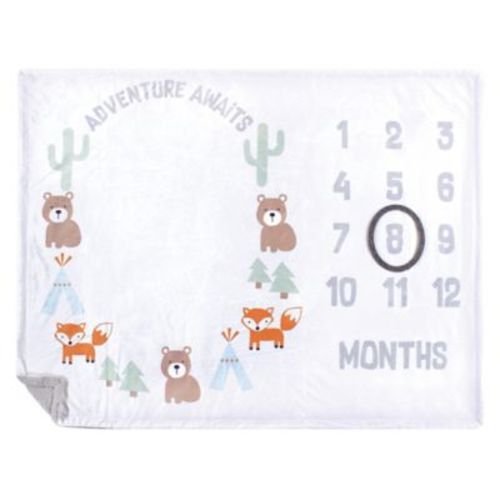 Hudson Baby® Adventure Awaits Milestone Blanket in White - WHITE - 30" X 36"