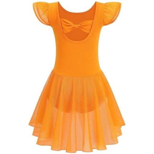 Ballet Leotards for Girls Toddler Dance Leotards Short/Long Sleeve Skirt Ballerina Outfits