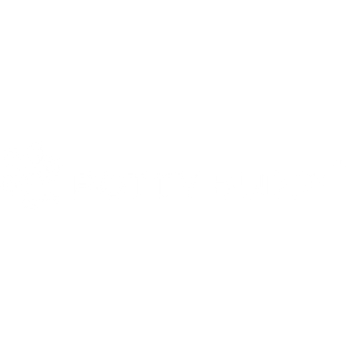Washable Pee Pads for Dog Training - Potty Buddy™
