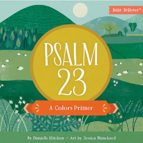 Psalm 23: A Colors Primer (Baby Believer)