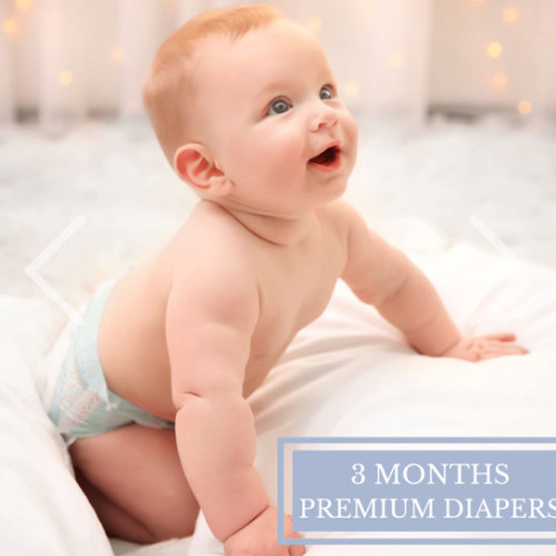 3 Months Premium Diaper Subscription - Baby Showers By Mail