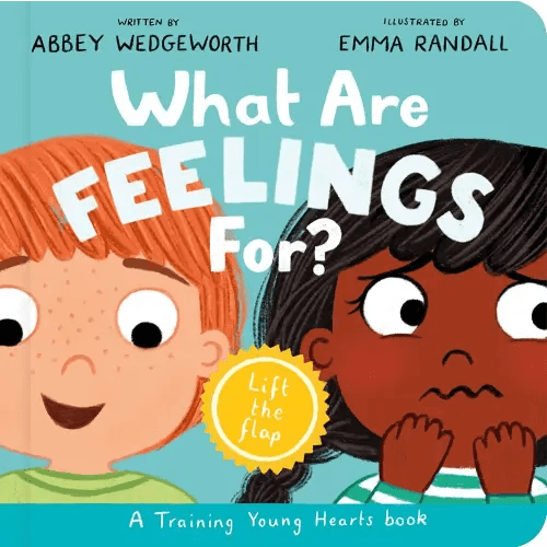 What Are Feelings For? Board Book: A Lift-the-Flap Board Book (Christian behavior book for toddlers encouraging emotional health and resilience.) (Training Young Hearts)