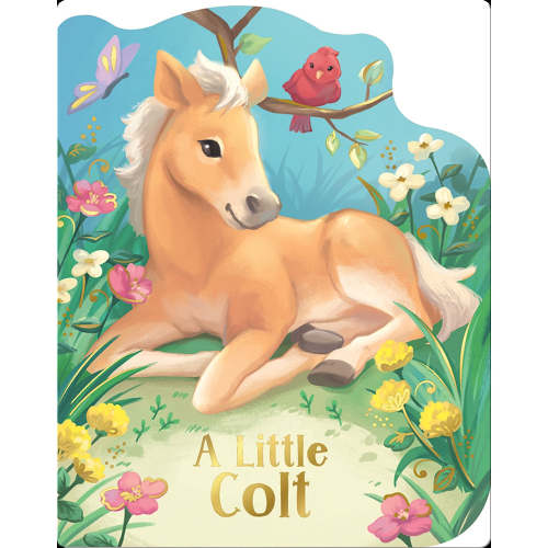 Cottage Door Press: A Little Colt (Board Book)