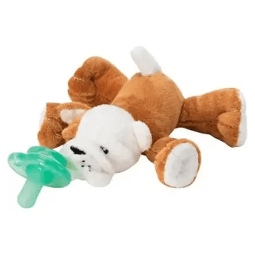 paci dog friend teddy - Google Search