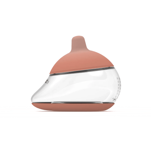Tadpole The Anatomy Bottle - The Anatomy Bottle