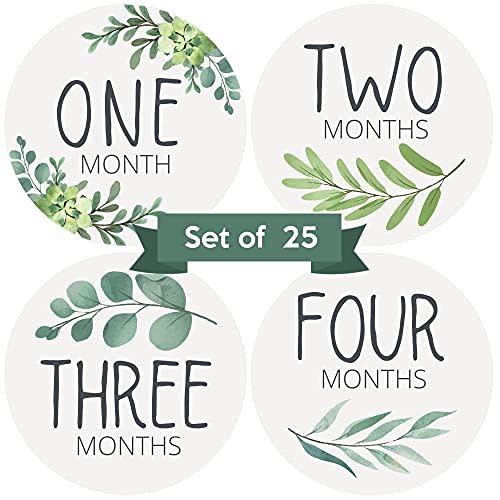 Baby Monthly Stickers - Set of 25 - Greenery Botanical Baby Milestone Stickers - Monthly Milestones for Newborn Boys or Girls - Sage Green Boho Eucalyptus Unisex Gender Neutral Design - (Set of 25)