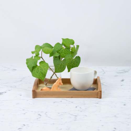 Petit Wooden Tray - 11" - The Foundry Home Goods