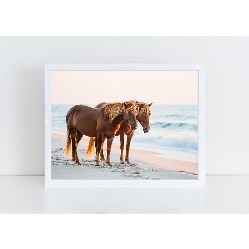 Wild Horse Photography, Beach Decor, Horse Wall Art, Equine Print, Nautical Print, Sunrise, Assateague Island, Horse Photo, Nursery Decor