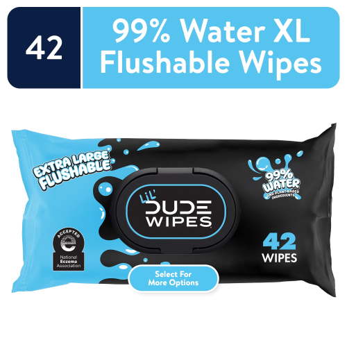 LiL' DUDE Wipes, Extra Large 99% Water Fragrance Free Flushable Wet Wipes for Kids, 42 Count, 1 Pack (Select for More Options)