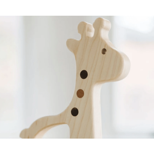 Giraffe Push Toy