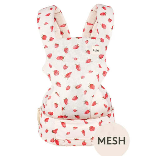 Strawberry Mesh Explore Carrier