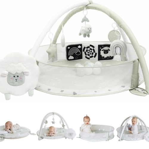 Aila+Aiden 6-in-1 XL Play Mat & Play Gym, Baby Gym, Baby Activity Gym, Sensory Exploration and Motor Skill Development Toys (Sage)