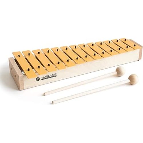 13 Keys Xylophone for Kids Wooden Xylophone Musical Instrument with Mallets Glockenspiel Instrument Educational Sensory Musical Toys Christmas Gift Choice for Boys Girls Aged 3+