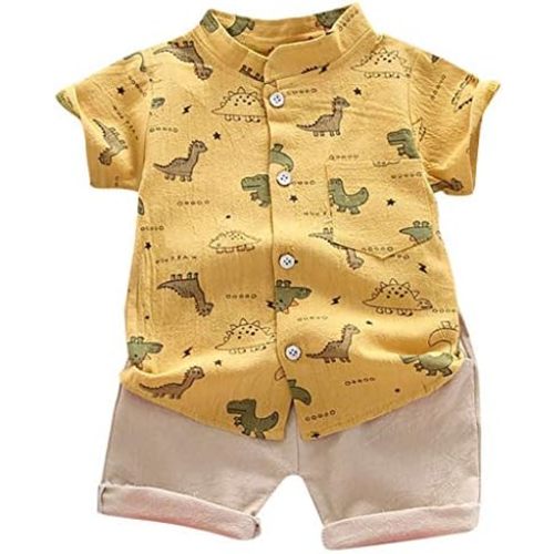 Baby Girl Floral Outfit Toddler Girl Summer Short Sleeve T-Shirt and Shorts Set Casual Clothes Independence Day s