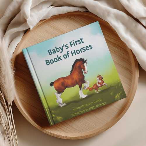 Baby's First Book of Horses