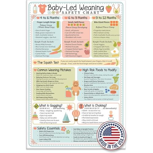 Baby Led Weaning Safety Chart Magnet 6x9 Baby Feeding Guide by Age 4 to 12 Months Finger Food Sizes and Textures Choking vs Gagging Reference Laminated Refrigerator Magnet Kitchen Feeding Chart