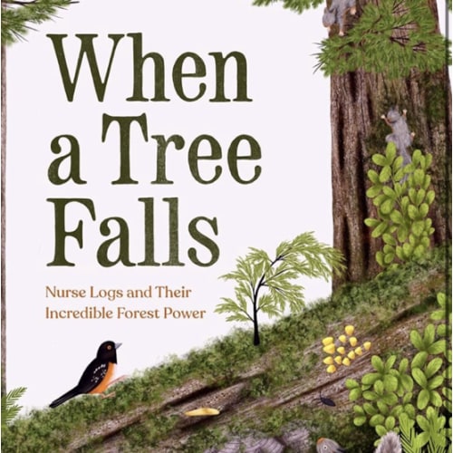 When a Tree Falls: Nurse Logs and Their Incredible Forest Power