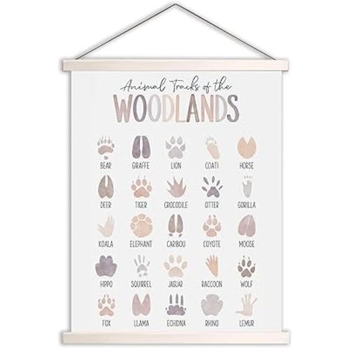 Zckjnoi Woodland Tracks Hanging Poster, Canvas Artwork Woodland Nursery Decor 17x21 Inch, Animal Tracks Field Guide Sign, Forest Nursery Decor, Boy Nursery Wall Decor, Baby Boy Nursery Room Decor