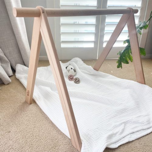 Ecosprout Wooden Playgym : Beechwood