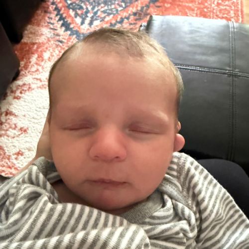 Amazon.com: The Baby Store