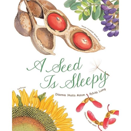A Seed Is Sleepy: (nature Books For Kids, Environmental Science For Kids) by Dianna Hutts Aston, (Picture Book) | Indigo