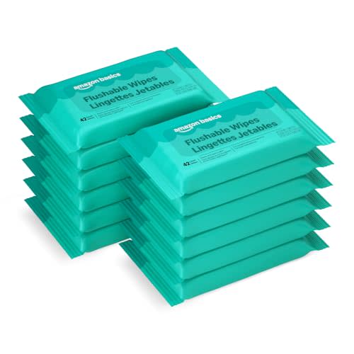 Amazon Basics Flushable Adult Toilet Wipes, Fragrance Free, 504 Count (12 Packs of 42), Packaging May Vary