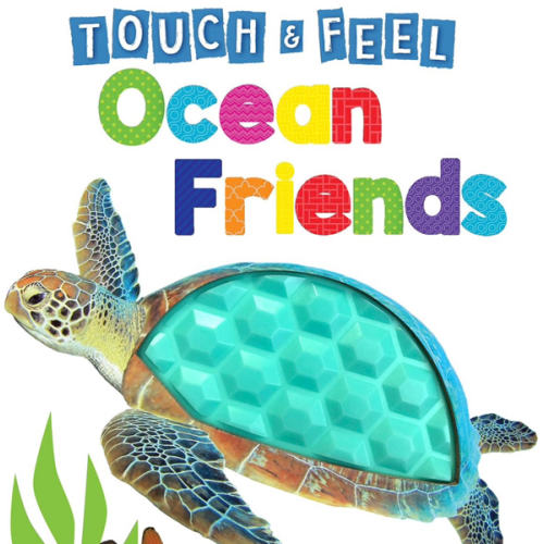 Ocean Friends - Touch and Feel Board Book - Sensory Board Book