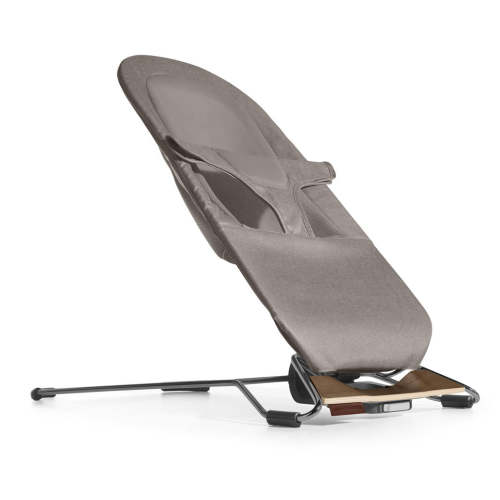 Mira 2-in-1 Bouncer & Seat - Wells