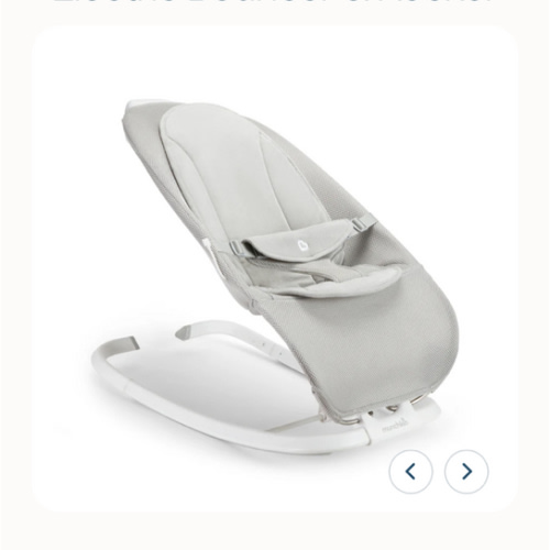 Electric Bouncer & Rocker