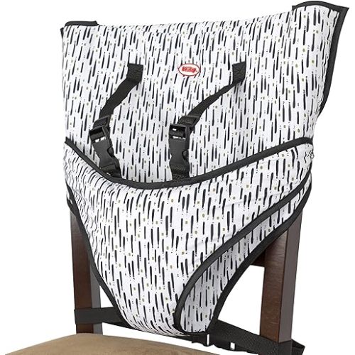 Nuby On The Go Toddler Portable Travel Chair for Babies and Toddlers - 5 Point Safety Adjustable Straps - 6+ Months - Folds into a Storage Bag, Brush Strokes