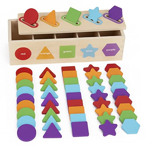 Montessori Toys for 1 2 3 Year Old, Color Sorting & Stacking Matching Toys | Learning Sorting Toys for Toddlers 1-3 Year Olds | Educational Toy Gift for 2 Year Old Boy Girl | 1st First Birthday Gifts