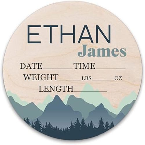 Birth Stat Sign Personalized for Newborn Baby, Ethan James Design, Crib & Nursery Decor, Photography Prop, Baby Shower Gifts, Gender Reveal, Pregnancy Announcement, Hickory Hollow Designs
