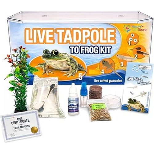 Tadpole to Frog Starter Kit - Includes Certificate for 2 Live Tadpoles - All-in-One Bundle with Habitat, Food, Instructions - Ideal for Education and Home Observation