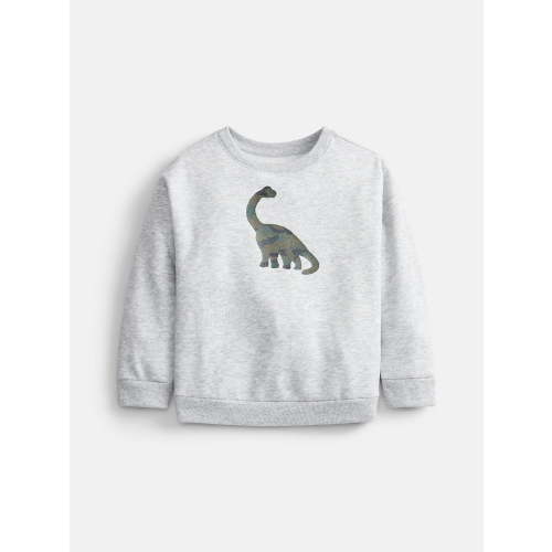 Wonder Nation Baby & Toddler Fleece Crewneck Sweatshirt, Sizes 6M-5T