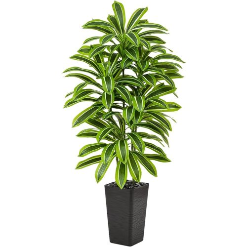Artificial Yellow Dracaena Tree - 5FT Tall Fake Plants with Black Planter - Artificial Plants Indoor Floor Plant in Pot - Large Tropical Fake Yucca Potted Tree for Home Office Living Room Decor