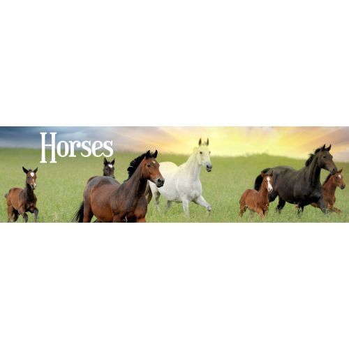Horses — BreyerHorses.com